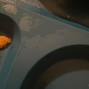 Meet your Posher, Saeed